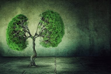 potatoepositphotos_66075603-stock-photo-green-tree-shaped-like-human